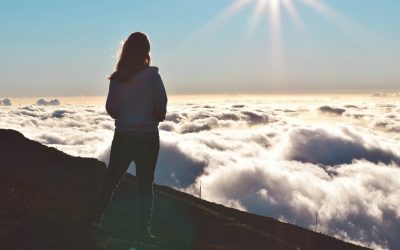 La paz se genera en sus corazones