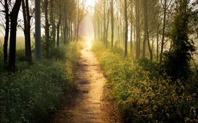 Mensaje Canalizado del Arcángel Gabriel:  Te acompañamos en el Camino