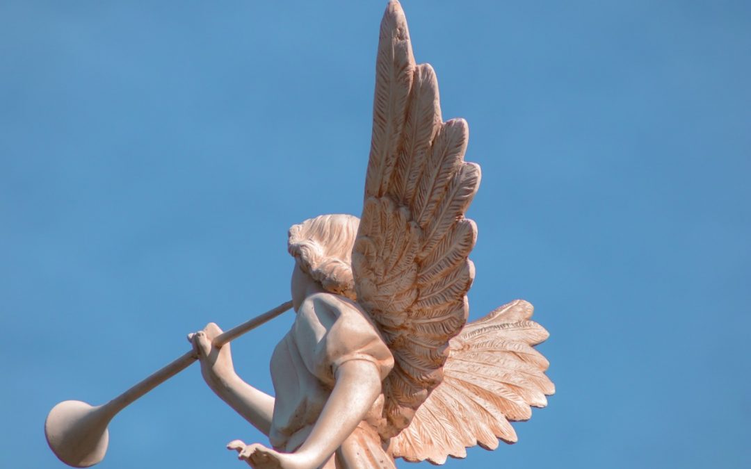 Los Ángeles siempre te acompañamos